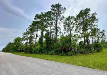 1247 Rake ST E, Lehigh Acres, Florida 33974, USA