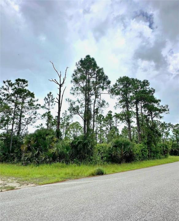 1247 Rake ST E, Lehigh Acres, Florida 33974