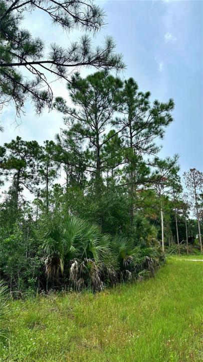 1247 Rake ST E, Lehigh Acres, Florida 33974
