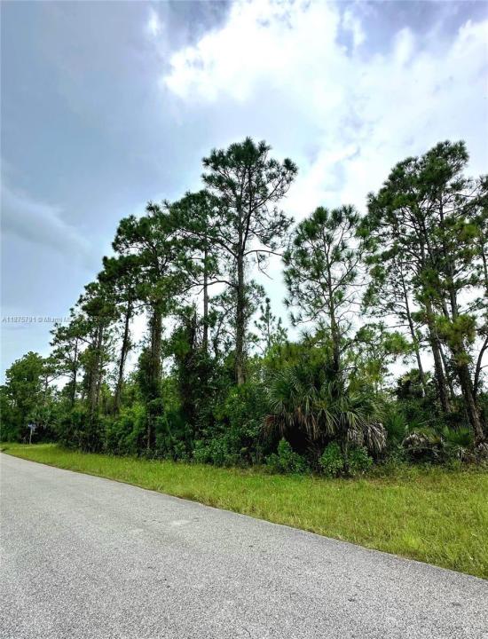 1247 Rake ST E, Lehigh Acres, Florida 33974