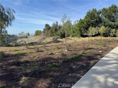 calle cristina, San Dimas, Kaliforniya 91773, Amerika Birleşik Devletleri