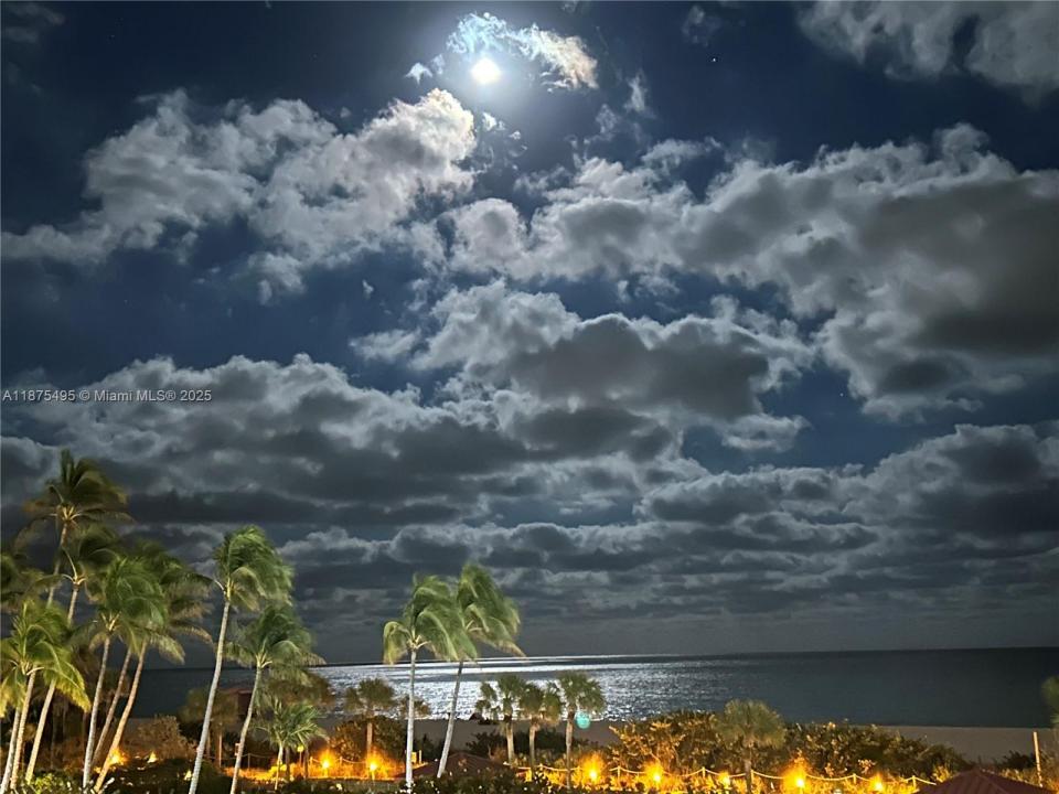 2555 Collins Ave 403, Miami Beach, فلوريدا 33140, الولايات المتحدة