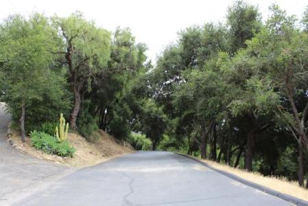 Las Canoas Ridge Way, Santa Barbara, Kaliforniya 93105, Amerika Birleşik Devletleri