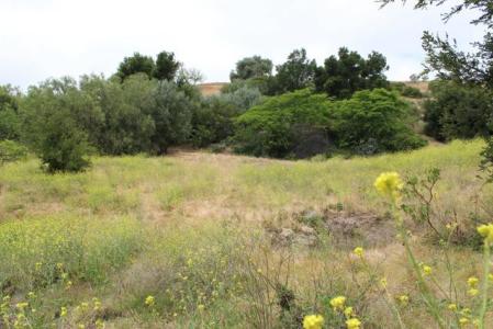 Las Canoas Ridge Way, Santa Barbara, Kaliforniya 93105, Amerika Birleşik Devletleri