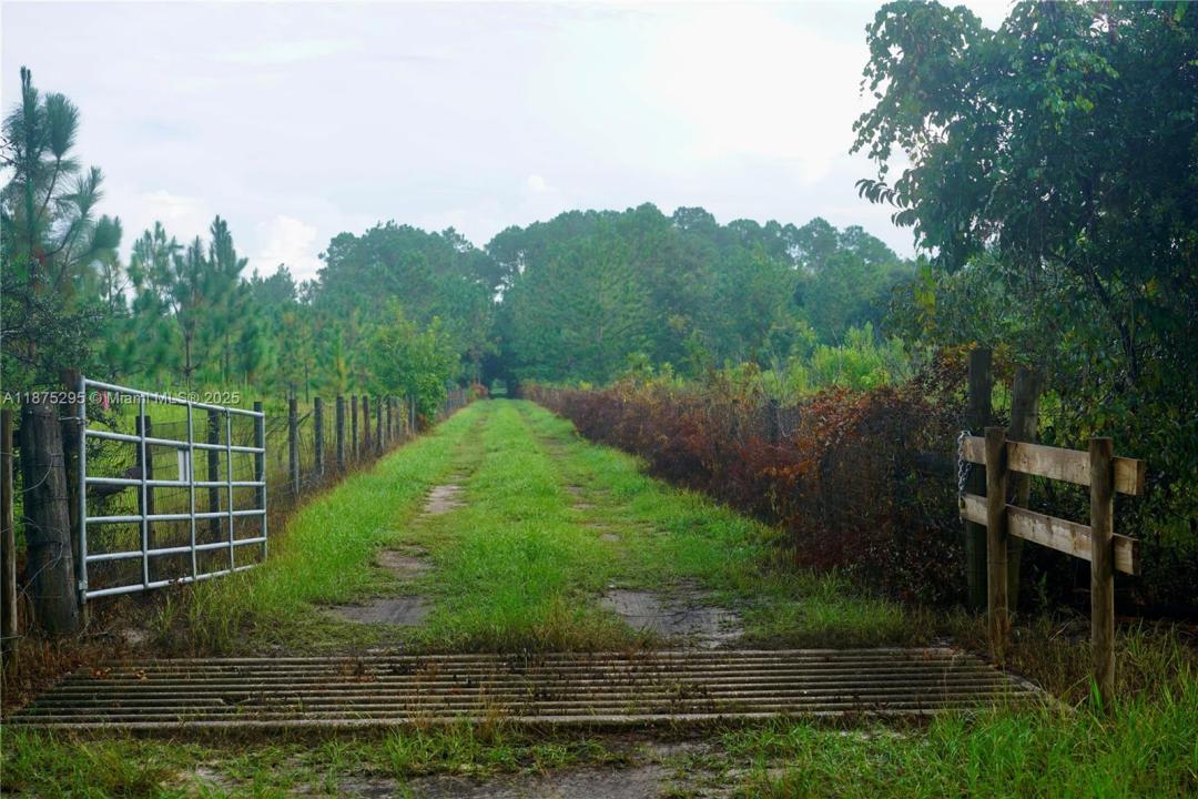 Other City - In The State Of Florida, Florida 34736