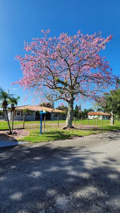 20880 SW 234th St 0, Homestead, Florida 33031, Stati Uniti