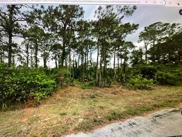 1710 Lake ave, Lehigh Acres, フロリダ 33972, アメリカ合衆国