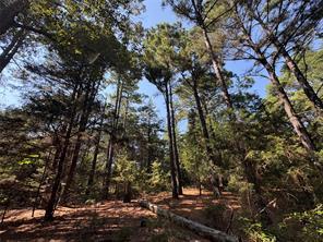 FM 69, Como, 得克萨斯州 75431, 美国