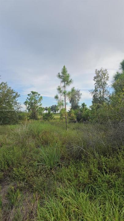 2918 Meadow, Lehigh Acres, Florida 33974
