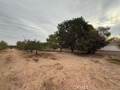 Fremont Rd, Newberry Springs, Калифорния 92365, Соединенные Штаты