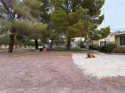 Fremont Rd, Newberry Springs, Калифорния 92365, Соединенные Штаты