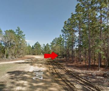 00 2nd Street, Interlachen, Florida 32148, Stati Uniti