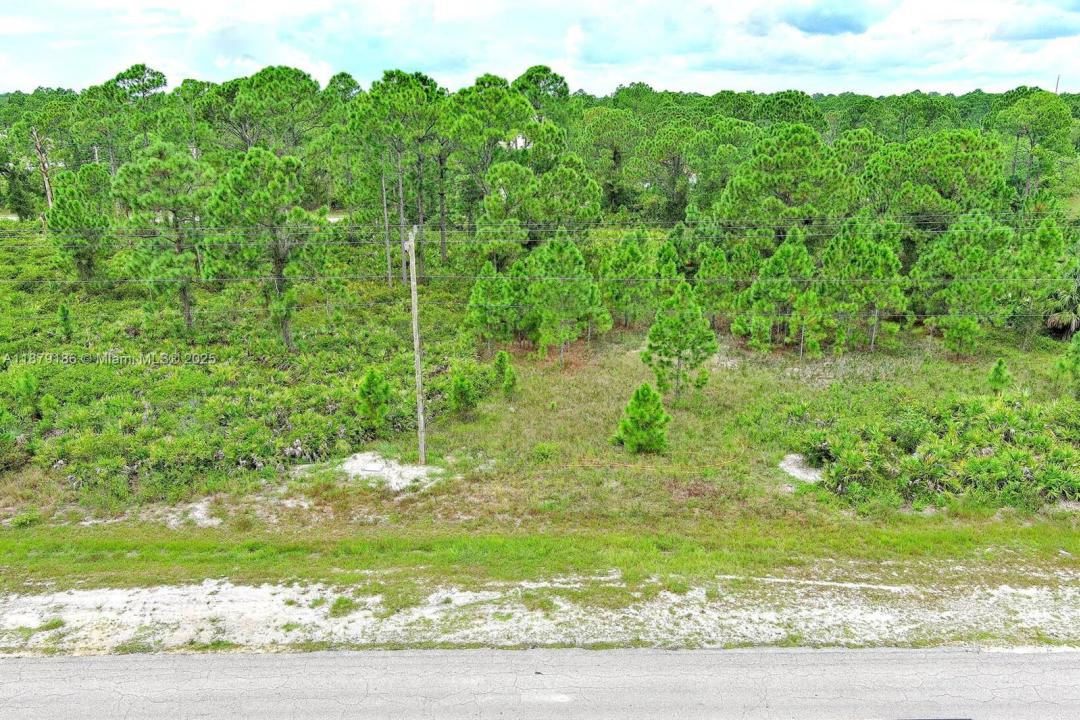 702 Eisenhower Blvd, Lehigh Acres, Floride 33974, États-Unis