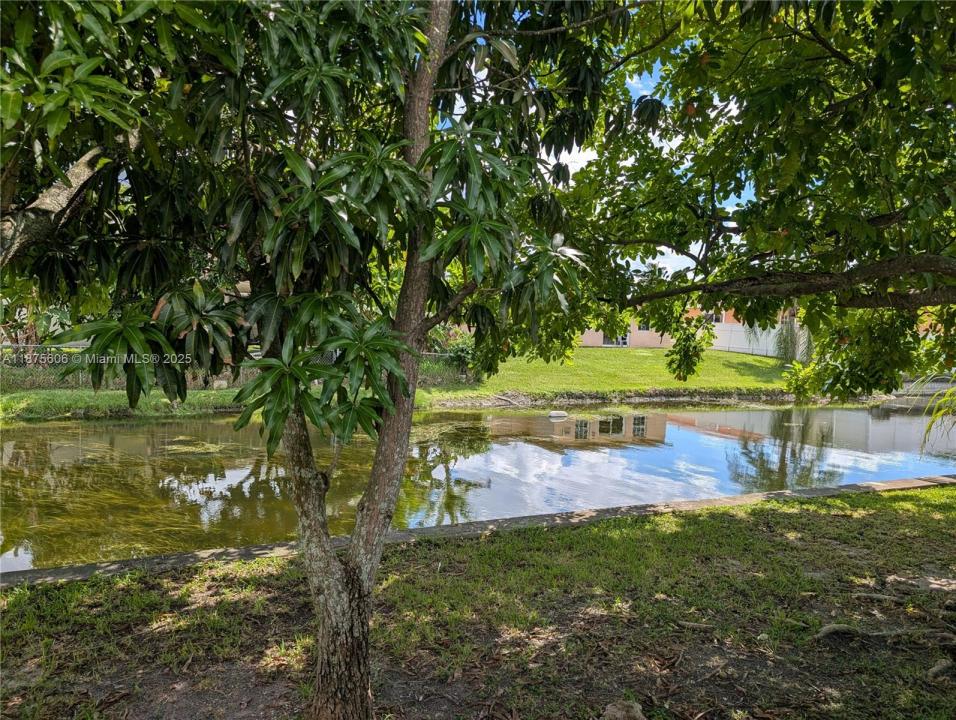 4550 NW 43rd St, Lauderdale Lakes, Florida 33319, Stati Uniti