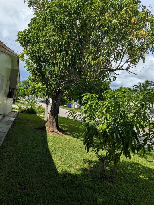 4550 NW 43rd St, Lauderdale Lakes, Florida 33319, Stati Uniti