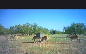 5860 County Road 423, Cisco, Texas 76437, Estados Unidos