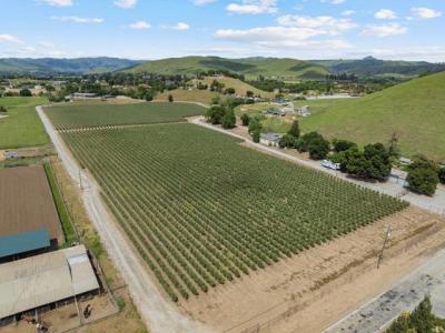 Comstock Road, Hollister, 캘리포니아 95023, 미국