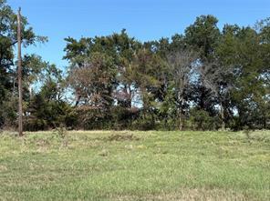 TBD 1 County Road 1168, Brashear, Texas 75420, HOA KỲ