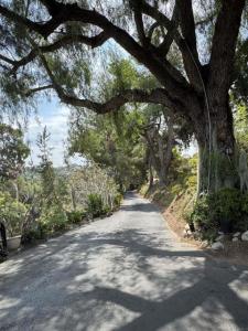 OLD CHASE AVENUE, El Cajon, California 92020