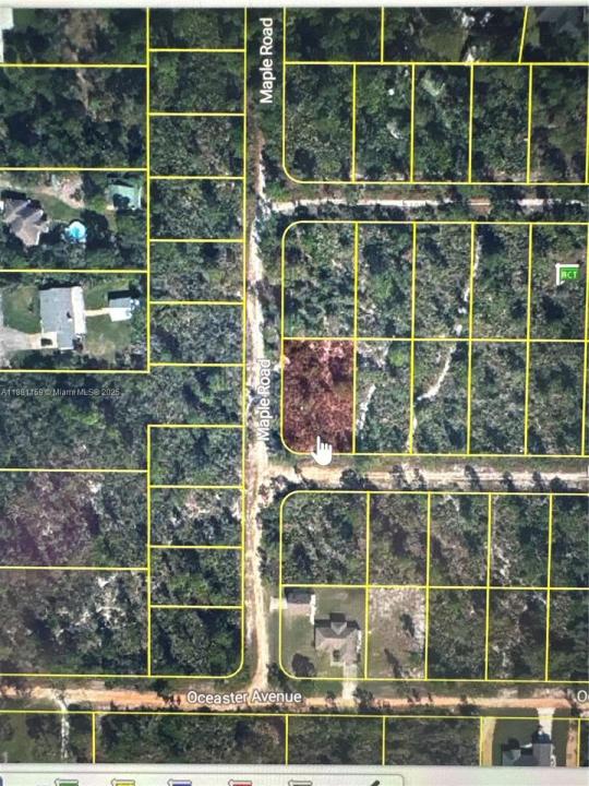 1846 Nolana Avenue, Sebring, Florida 33875, USA