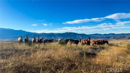 Gilman, Banning, California 92220, Stati Uniti