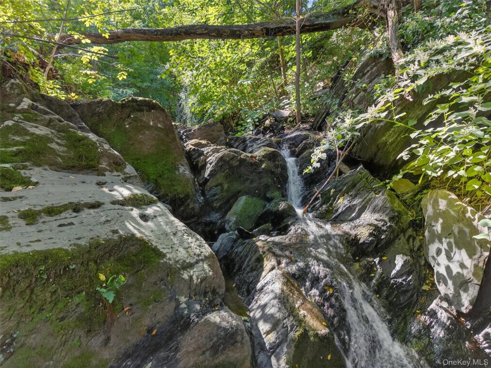 331 Mountain Lodge Road, Blooming Grove, 纽约州 10914, 美国