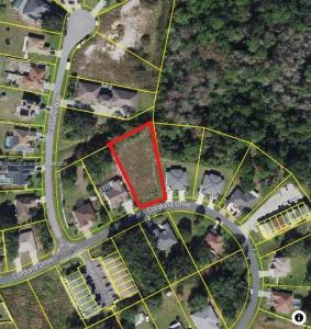 58 CARDONA DR, Kissimmee, Florida 34758