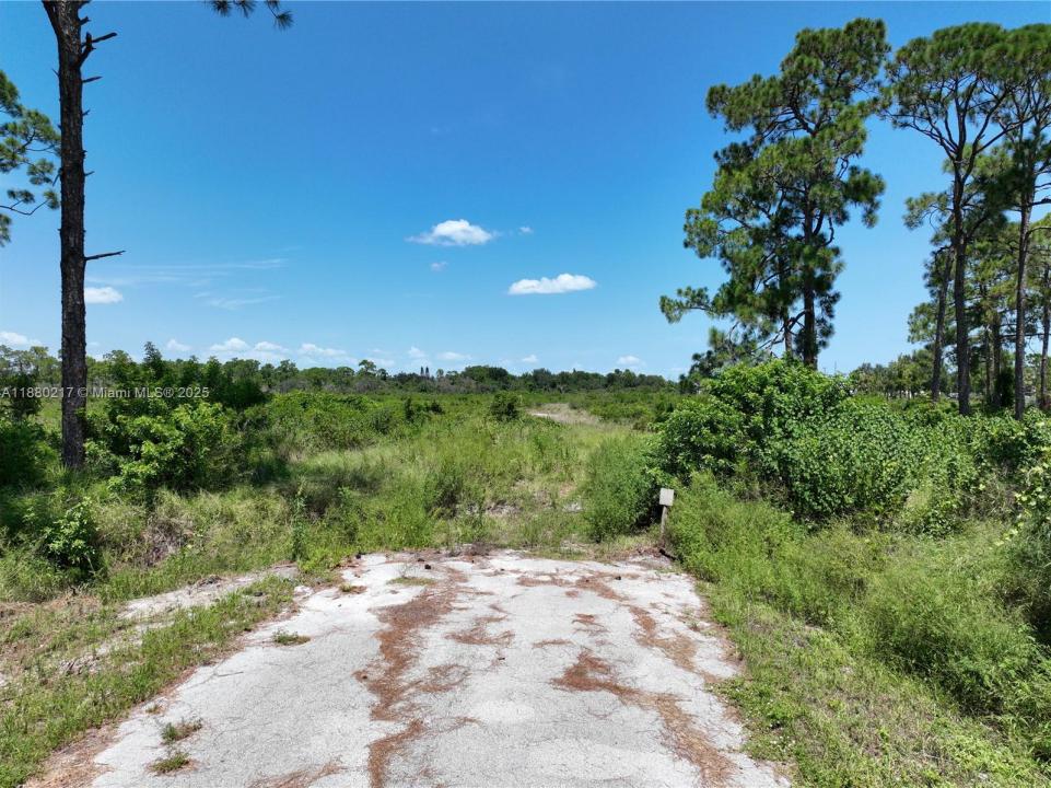 530 Lotus, Sebring, Floride 33872, États-Unis