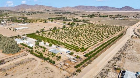 Highland Avenue, Lucerne Valley, カリフォルニア 92356, アメリカ合衆国