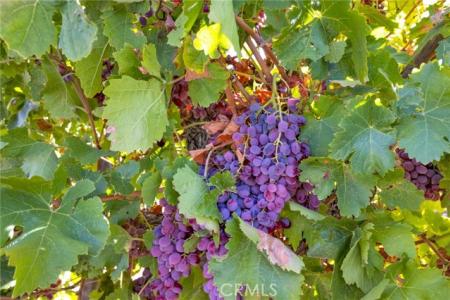 Highland Avenue, Lucerne Valley, カリフォルニア 92356, アメリカ合衆国