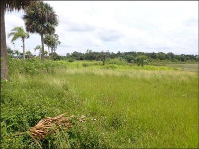 W Irlo Bronson Memorial Highway, Kissimmee, フロリダ 34741, アメリカ合衆国