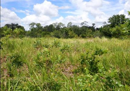 N Poinciana Boulevard N, Kissimmee, Flórida 34746, Estados Unidos