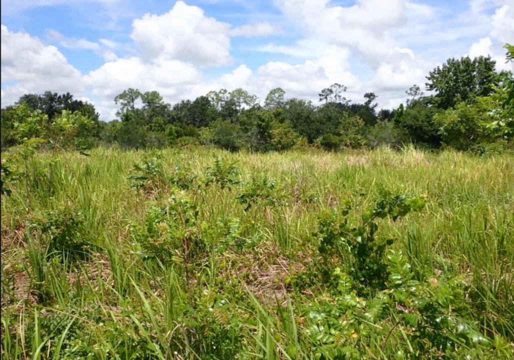 N Poinciana Boulevard N, Kissimmee, Florida 34746, Estados Unidos