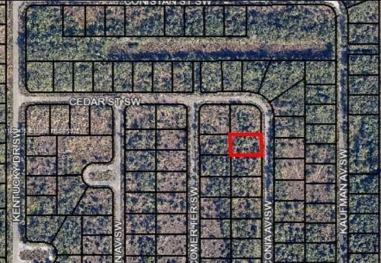 1912 Waconia Ave, Palm Bay, Florida 32908, Amerika Birleşik Devletleri