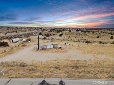 Verbena, Oak Hills, California 92344