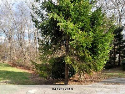 Bogman Street, Barrington, Rhode Island 02806, Estados Unidos
