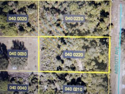 2319 Abbott Avenue, Alva, Florida 33920, Estados Unidos