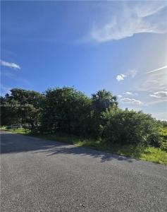 1517 Scott Ave, Lehigh Acres, Florida 33972, USA
