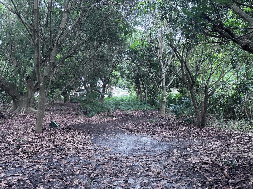 0000 NW 7th Court, Boynton Beach, Florida 33426