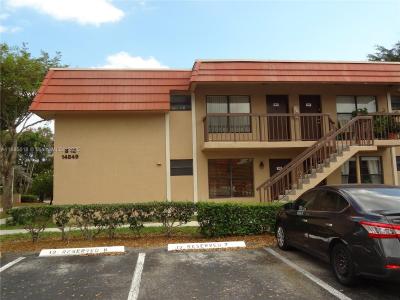 14849 SW 104th St 12-12, Miami, Florida 33196, USA