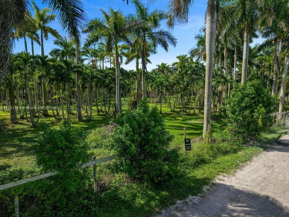 16050 SW 206th Ave, Miami, Florida 33187, Amerika Birleşik Devletleri