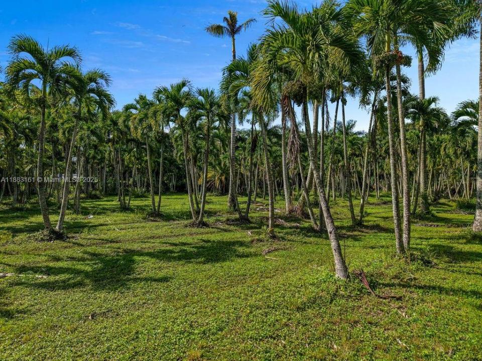 16050 SW 206th Ave, Miami, Florida 33187, Amerika Birleşik Devletleri