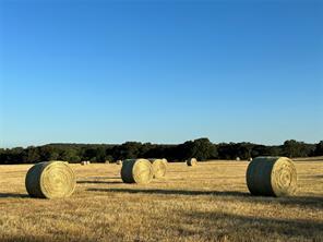 000b Wilson Bend Road, Millsap, Texas 76066, États-Unis