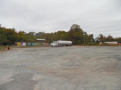 85 Kaufman, Thompson, New York 12701, HOA KỲ