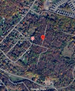 35 Birch Street, Fallsburg, New York 12733, USA