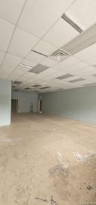 99 Carleton Avenue, Islip, Nowy Jork 11752, USA