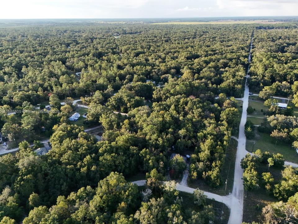 0 NE 2ND PL, Williston, フロリダ 32696, アメリカ合衆国