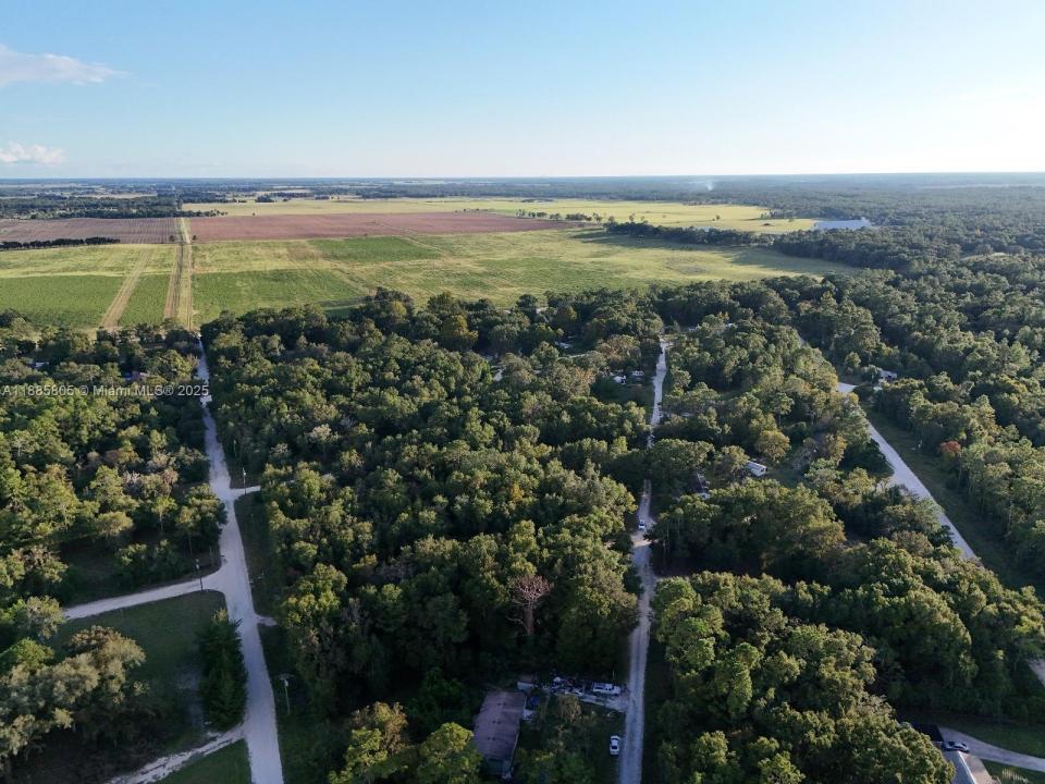 0 NE 2ND PL, Williston, フロリダ 32696, アメリカ合衆国