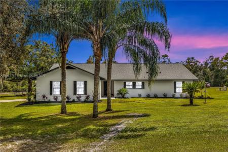 209 N Oakapple Trail, Other City - In The State Of Florida, Florida 32744, USA