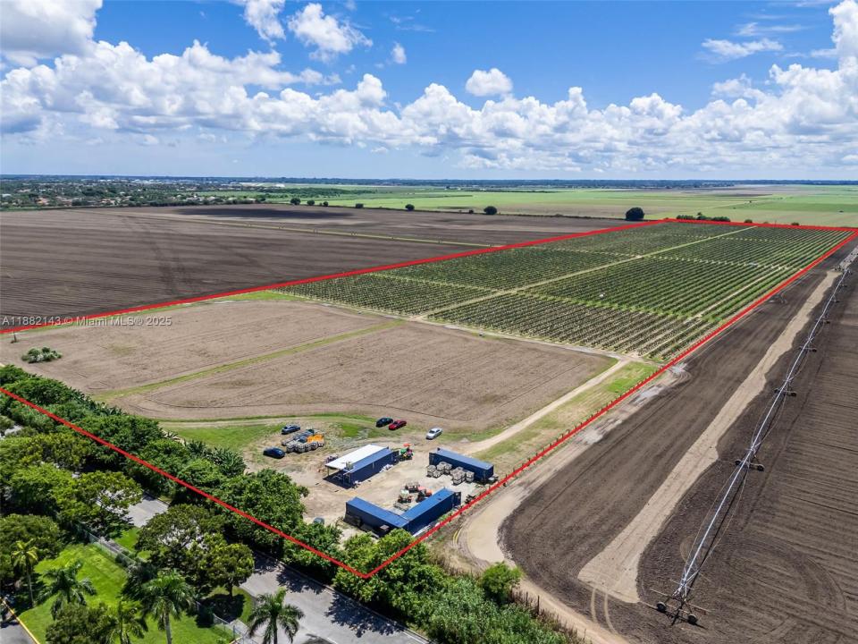 SW MIAMI-DADE, Miami, פלורידה 33196, ארצות הברית של אמריקה 
